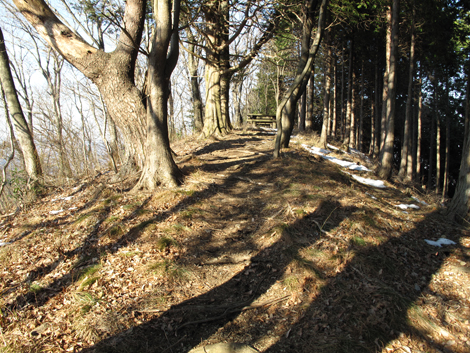 20160128hike (350)